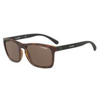 arnette sunglasses an4236 237573