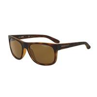 arnette sunglasses an4206 polarized 215283