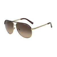 Armani Exchange Sunglasses AX2002 601013