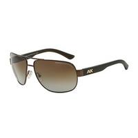 Armani Exchange Sunglasses AX2012S Polarized 6058T5