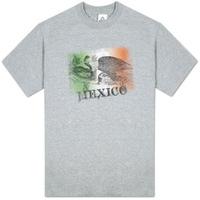 around the world mexico flag fade