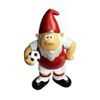 Arsenal Standard Gnome