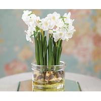 Artificial White Growing Narcissus, White