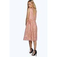 aria embroidered organza skater dress blush