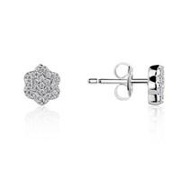 Argento Galaxy Flower Shape Crystal Studs