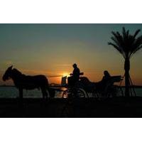 aswan city tour on horse carriage