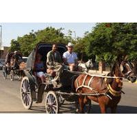 Aswan City Tour by Horse Carriage