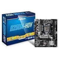 asrock b250m hdv lga1151 intel b250 ddr4 matx