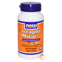Astragalus 500mg 90 Caps