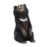Asiatic Black Bear