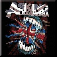 Asking Alexandria Flag Eater Fridge Magnet