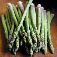 asparagus officinalis ariane seeds 1 asparagus packet 10 seeds