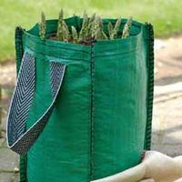 Asparagus \'Ariane\' with Growbags - 6 asparagus crowns + 2 grow bags