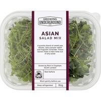 Asian Salad Mix (each)