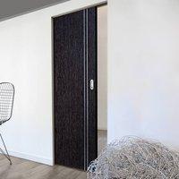 Ash Grey Zanzibar Syntesis Pocket Door - Prefinished