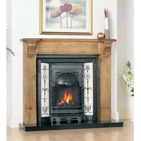 aston powerflue integra cast iron fire insert from agnews