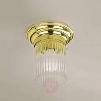 Asticella Ceiling Light Elegant