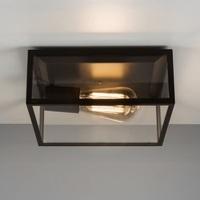 Astro 7388 Bronte Outdoor Ceiling Light in Black Finish With Clear Glass