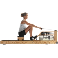 ashwood waterrower with computer