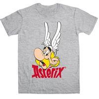 Asterix The Gaul T Shirt - Asterix Face And Logo