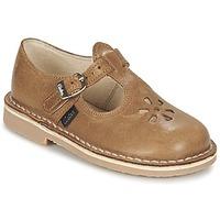 Aster DINGO girls\'s Children\'s Shoes (Pumps / Ballerinas) in brown
