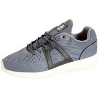 Asfvlt Sneakersball Super Knit Grey women\'s Shoes (Trainers) in grey