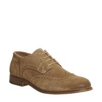 Ask the Missus Everyone Brogue BEIGE SUEDE