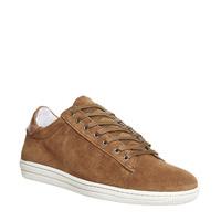 ask the missus eagle sneaker rust suede