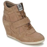 ash bowie womens shoes high top trainers in brown