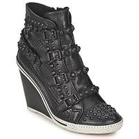 ash tanagra womens shoes high top trainers in black