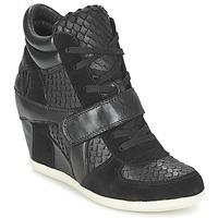 Ash BOWIE SNAKE women\'s Shoes (High-top Trainers) in black