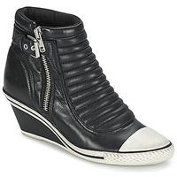 ash genius womens shoes high top trainers in black