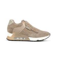 Ash Taupe Lace & Suede Trainer