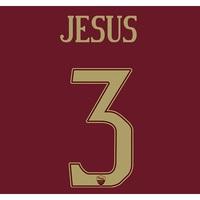 AS Roma Derby Vapor Match Shirt 2016-17 with Jesus 3 printing, N/A