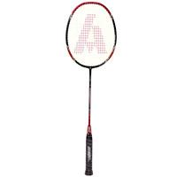 Ashaway Ti Pro 500 Badminton Racket