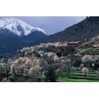 Atlas Mountains and 4 Valleys Guided Day Tour from Marrakech