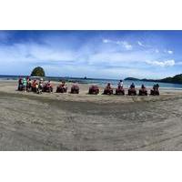 ATV and Canopy Zip-line Tour from Tamarindo