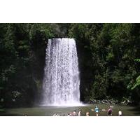 Atherton Tablelands Waterfalls Day Trip from Cairns