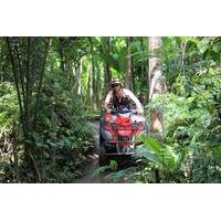 ATV Tour with Monkey Forest Experience in Bali