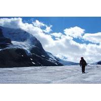 Athabasca Glacier Full-Day Tour