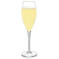 Atelier Champagne Flutes 9.5oz / 270ml (Case of 12)