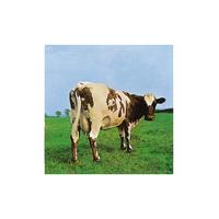 Atom Heart Mother (Pink Floyd) By Storm Thorgerson, Aubrey Powell 