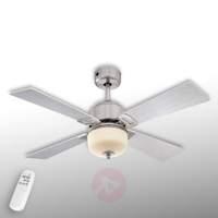 Athena LED ceiling fan