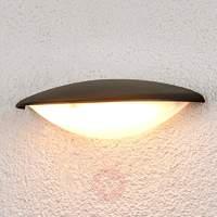 Attractive Evan LED outdoor wall light