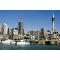 Auckland City Highlights Tour