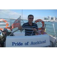 Auckland Harbour Coffee Cruise