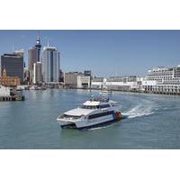 auckland harbour sightseeing cruise with round trip devonport ferry ti ...