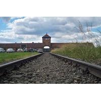 Auschwitz-Birkenau Regular Tour from Krakow with an Italian Guide