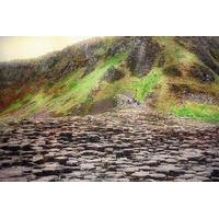 authentic guided walk of the giants causeway with an expert guide