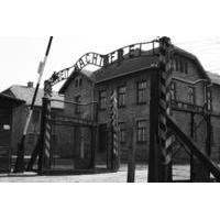 Auschwitz-Birkenau Tour from Krakow